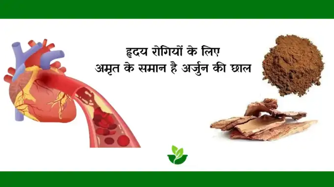 arjun bark for heart patients blockage